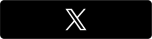 公式X